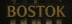 camilobostok.com